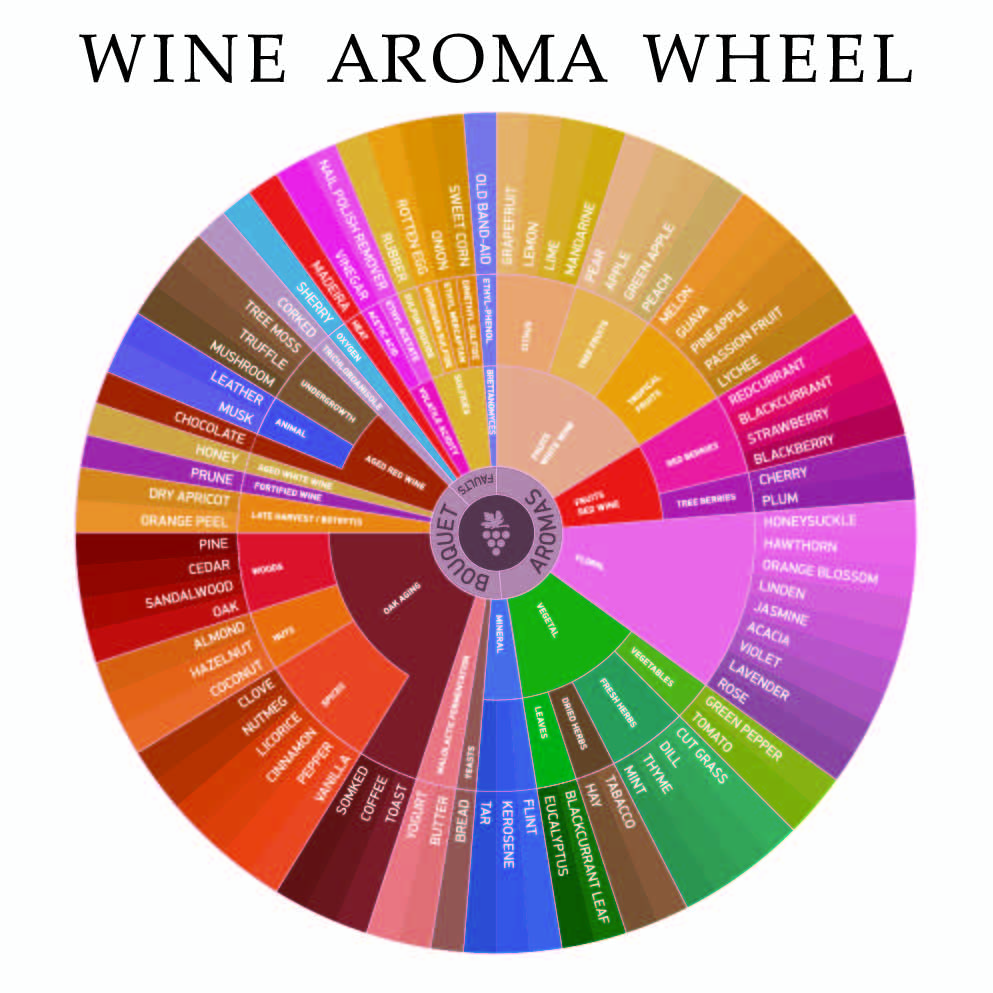 Wine Aroma Wheel